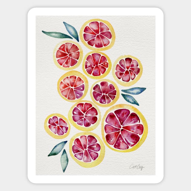 Grapefruits Sticker by CatCoq